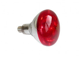 Ampoule infra Rouge 100 Watts