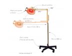 Lampe infrarouge 250 Watts