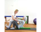 Formation Spinefitter – 4 heures : Théorie et Pratique - 18/11/25
