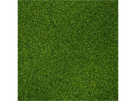 Sol Turf 11 mm Pavigym