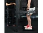 Force Plate System EasyBase®