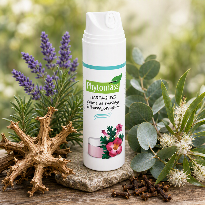 Crème de massage Phytomass® Harpagliss