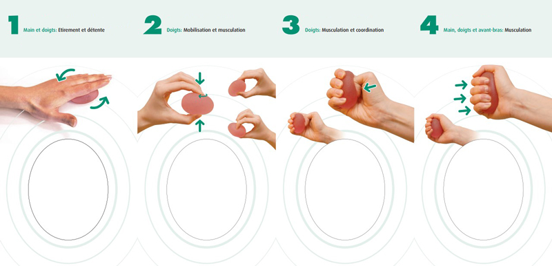 exercice avec press Egg SISSEL®